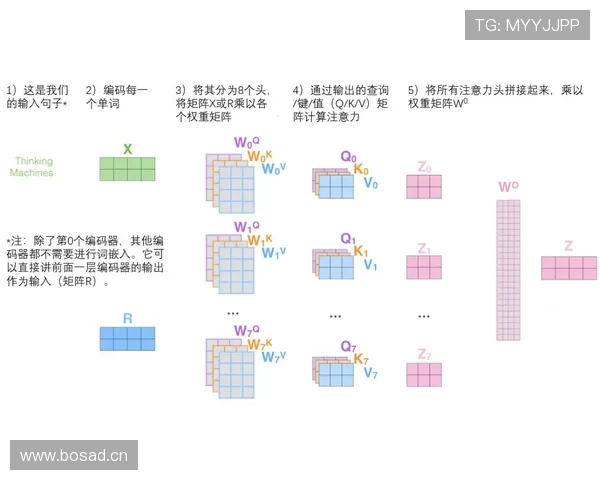 罚球规则NBA与FIBA区别详解，一文看懂！